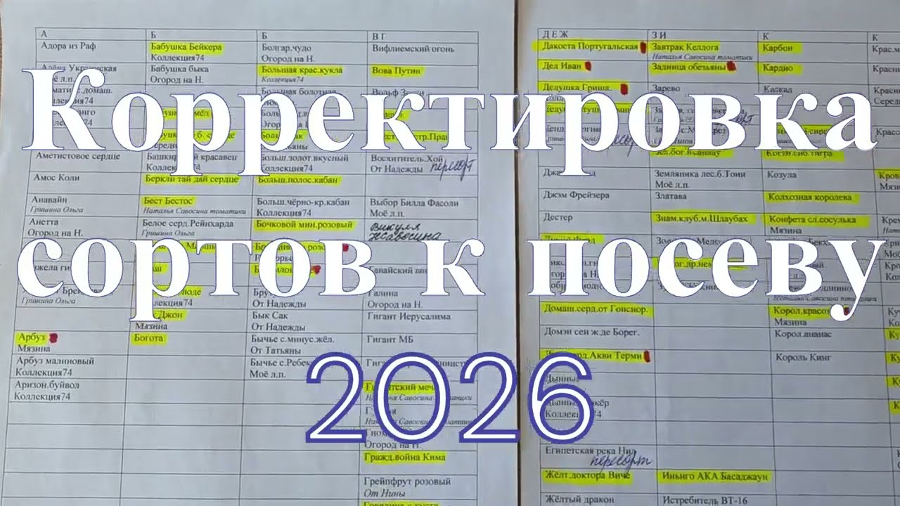 Корректировка коллекционных сортов к посеву 2026