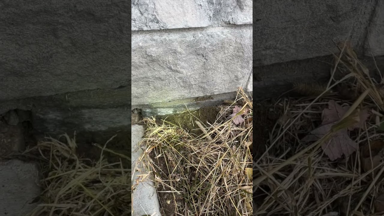 CNHInspections - New Construction AMSV Missing Flashing