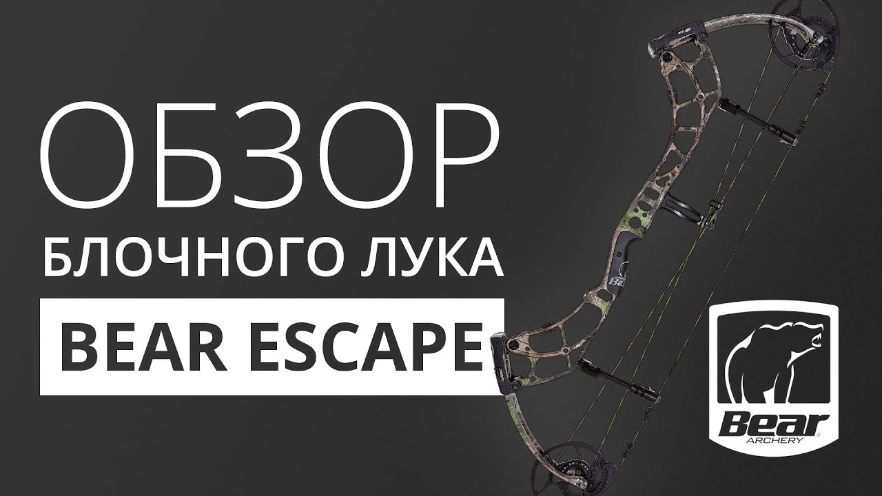 Обзор блочного лука Bear Escape
