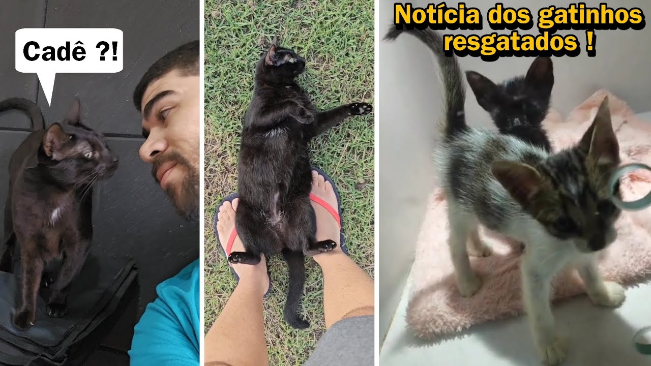 A preferência deles é a teimosia sempre !! 🤦🏻‍♂️😂 #VLOG