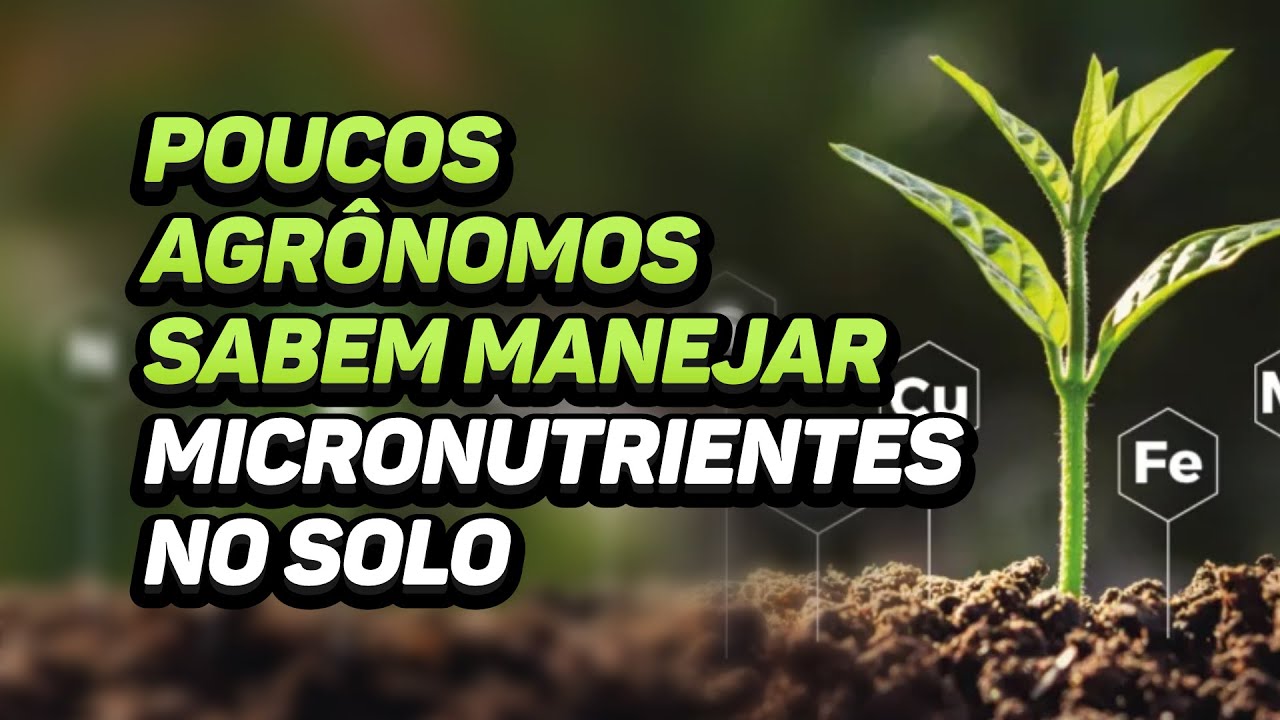 DIN&Acirc;MICA DE MICRONUTRIENTES NA ADUBA&Ccedil;&Atilde;O