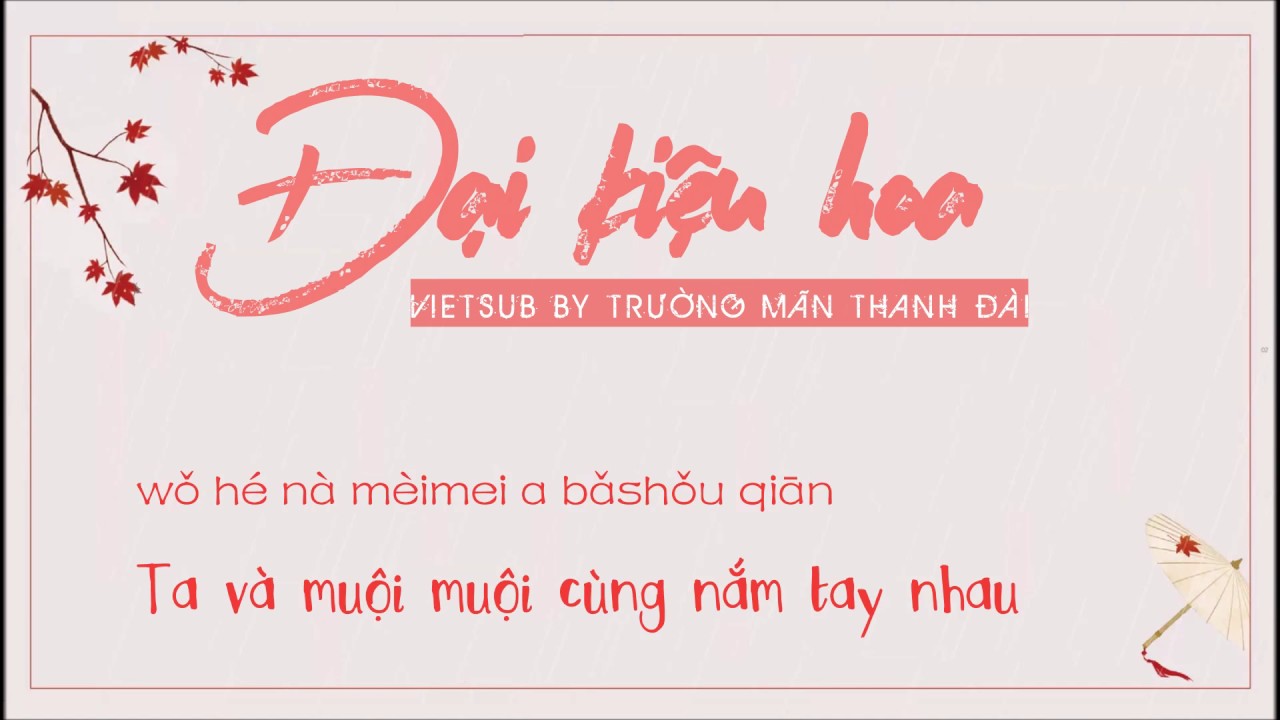 [Vietsub] Đại Kiệu Hoa 《大花轿》- Trương Lê【张黎】