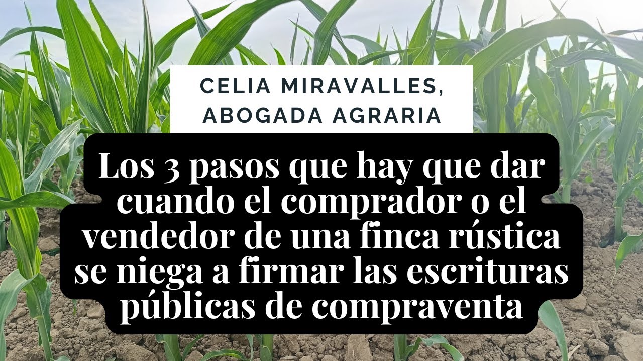 3 pasos que hay que dar cuando el comprador / vendedor de finca rústica no firma las escrituras