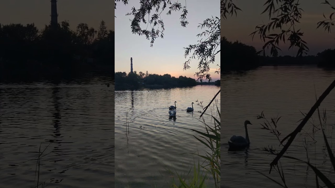 Плеск воды летним вечером расслабит/Звуки природы/Sounds of nature 