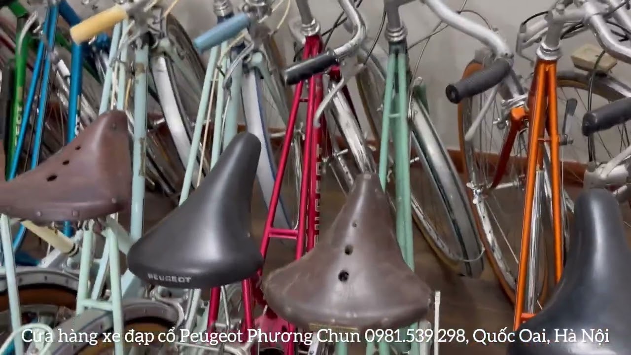 GIỚI THIỆU TRỰC TIẾP XE ĐẠP PEUGEOT TẠI CỬA HÀNG || 0981.539.298 || #video