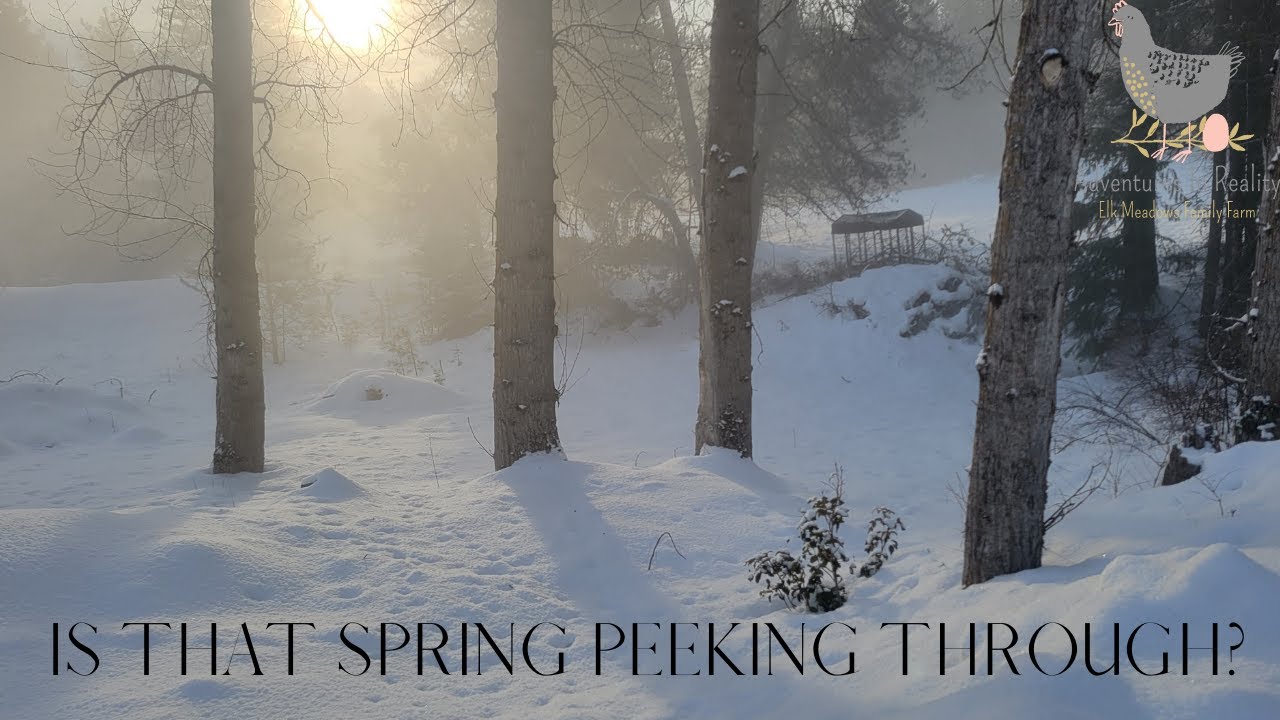 Another Day.... Waiting for spring! | Adventures In Reality