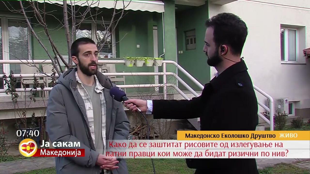 Пронајден угинат Рис - од Македонското еколошко друштво повикуваат на низа заштитни мерки