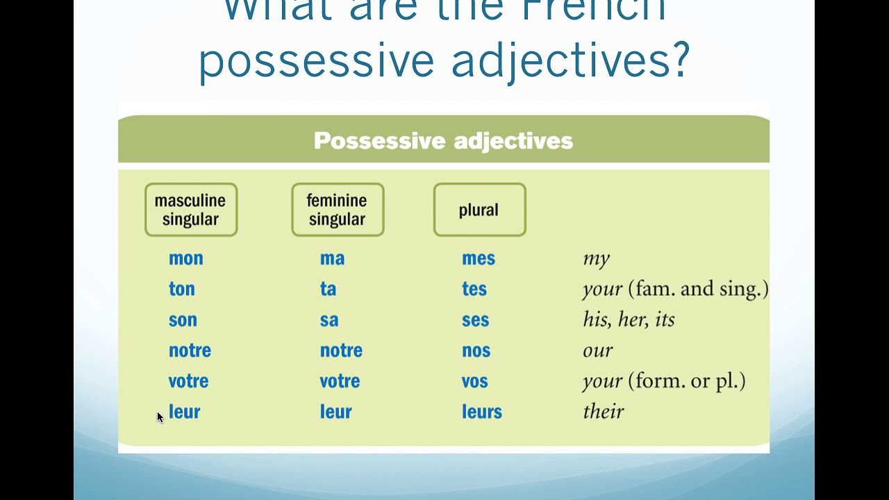 Possessive Adjectives in French