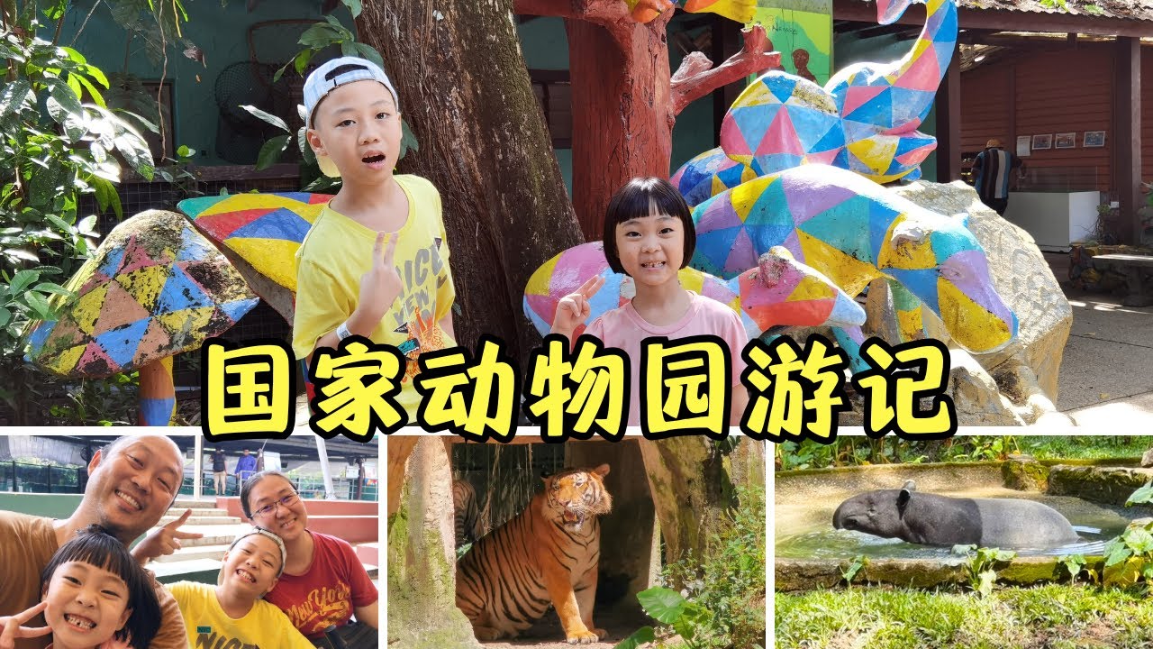 国家动物园游记！孩子又可以开心玩一整天😃