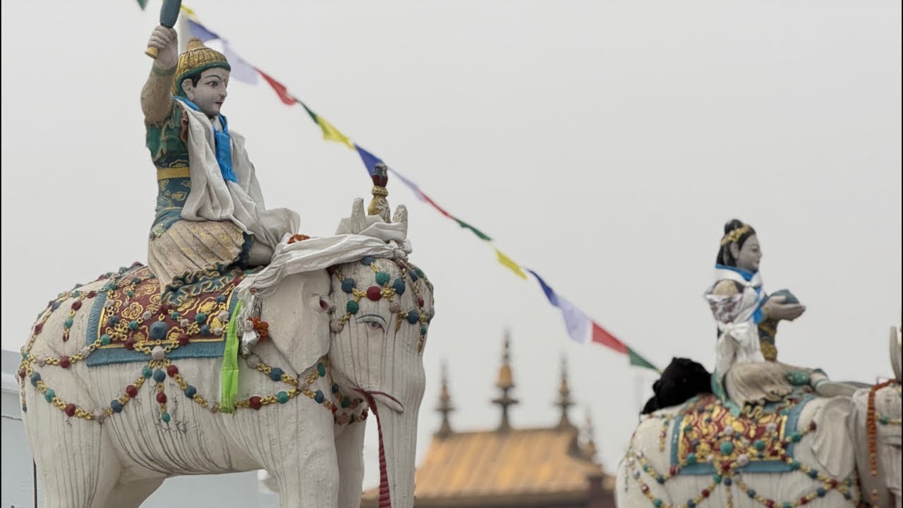 Sáng ngày 9/3 tại nơi Thầy Minh Tuệ và các Sư Phụ an trú 🙏