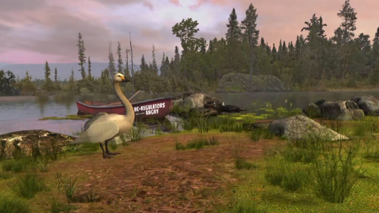 Minnesota Tundra Swan Hunting Clash #SamarLaiGaming