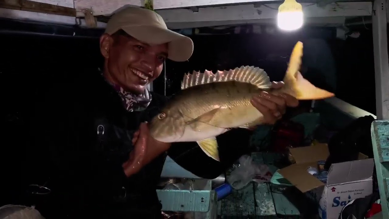 Mancing Mania Padang Strike Baracuang Monster #fishing #mancing