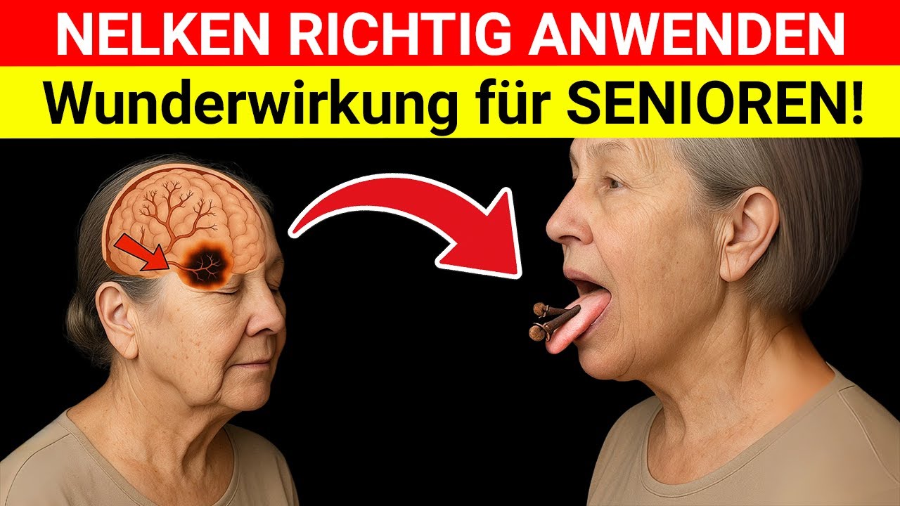 Senioren: Das passiert, wenn Sie täglich 2 Nelken essen – das Ergebnis wird Sie schockieren!