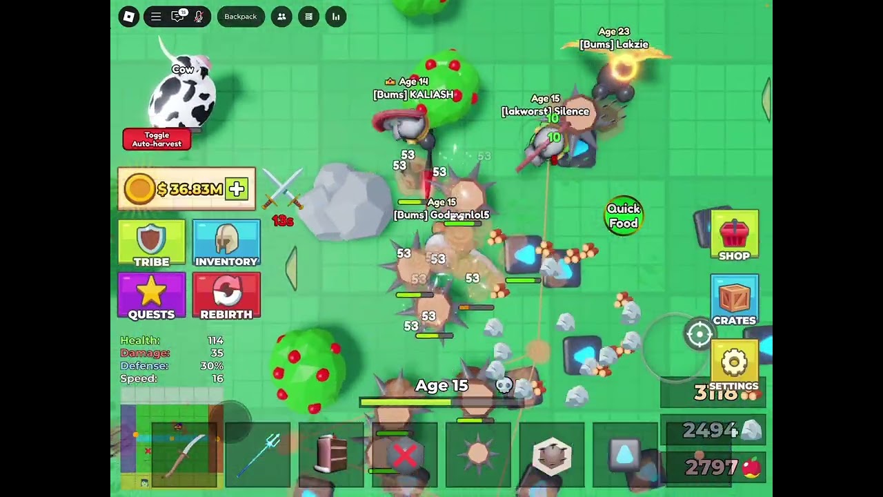 Rebirth 7 and ultimate PvP #tribesurvivalroblox