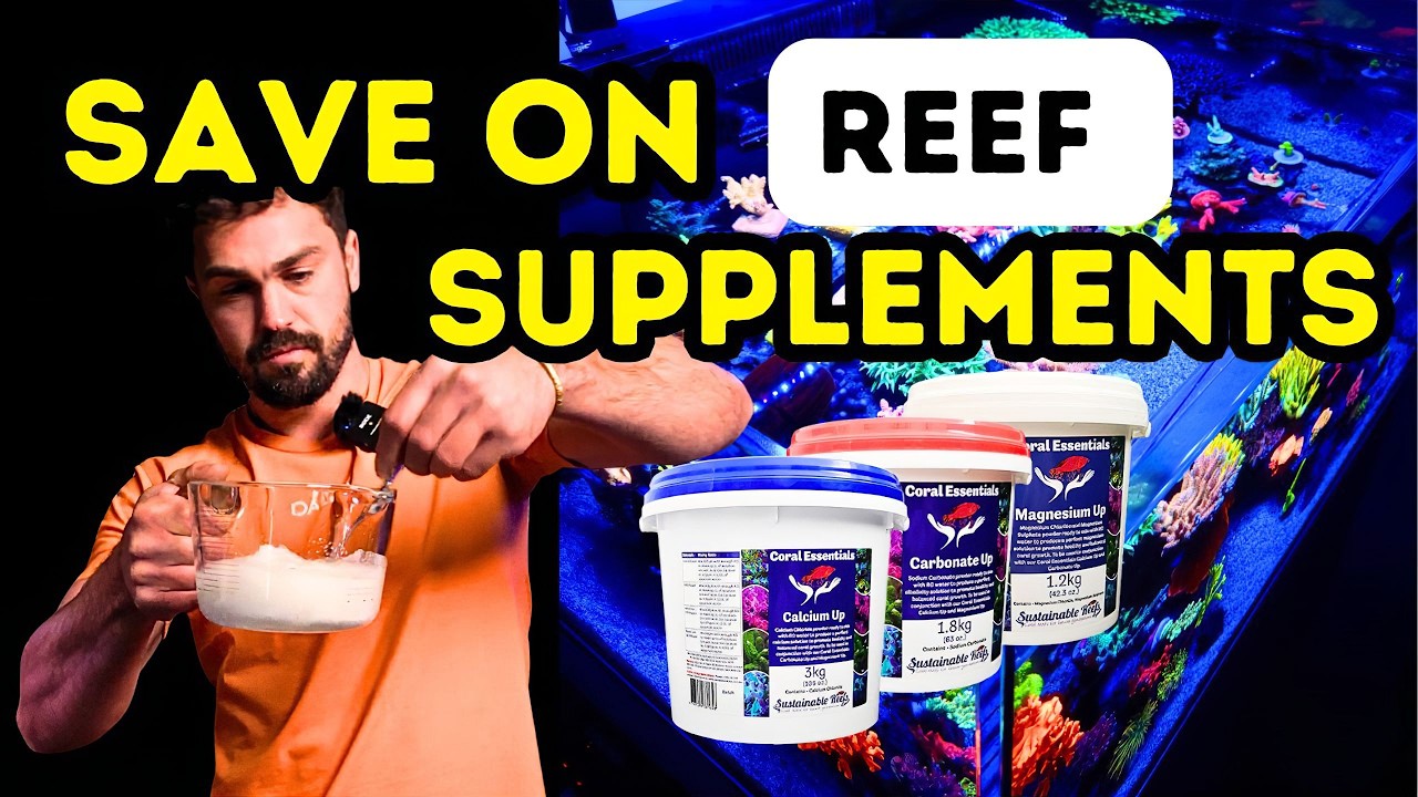 Save BIG With Reef Powders Equal Part Dosing | Coral Essentials