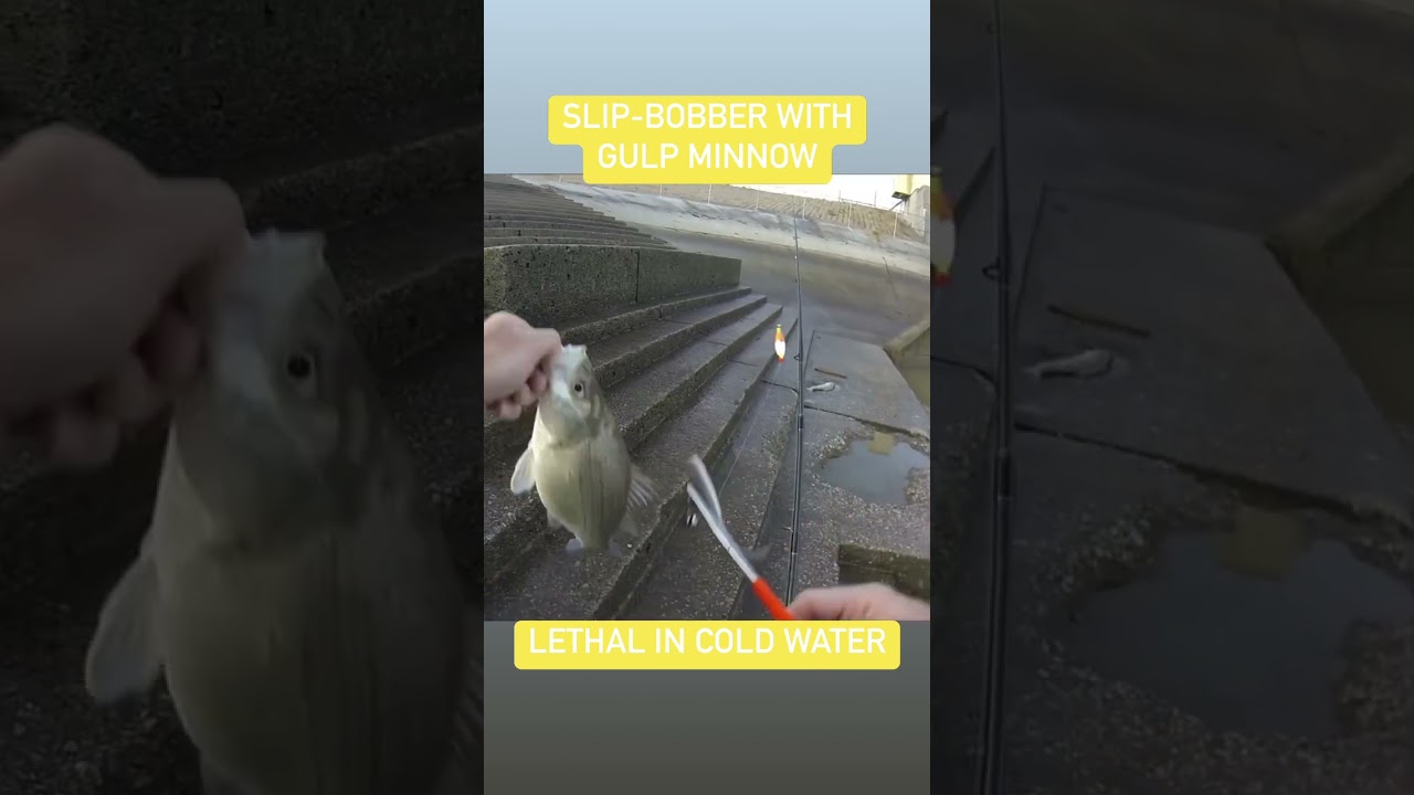 Slip Bobber with Gulp Minnow is LETHAL in Cold Water