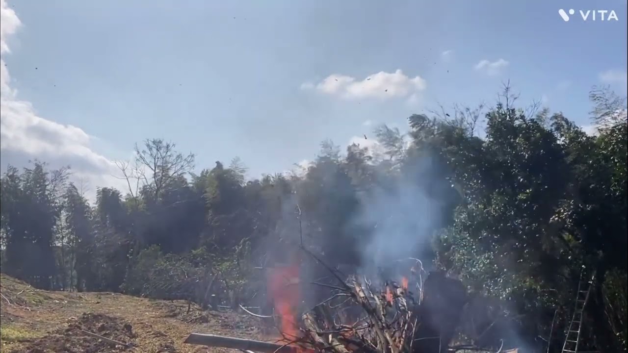 荒れた山を開拓　安全に燃やしましょう　燃えてきたよー