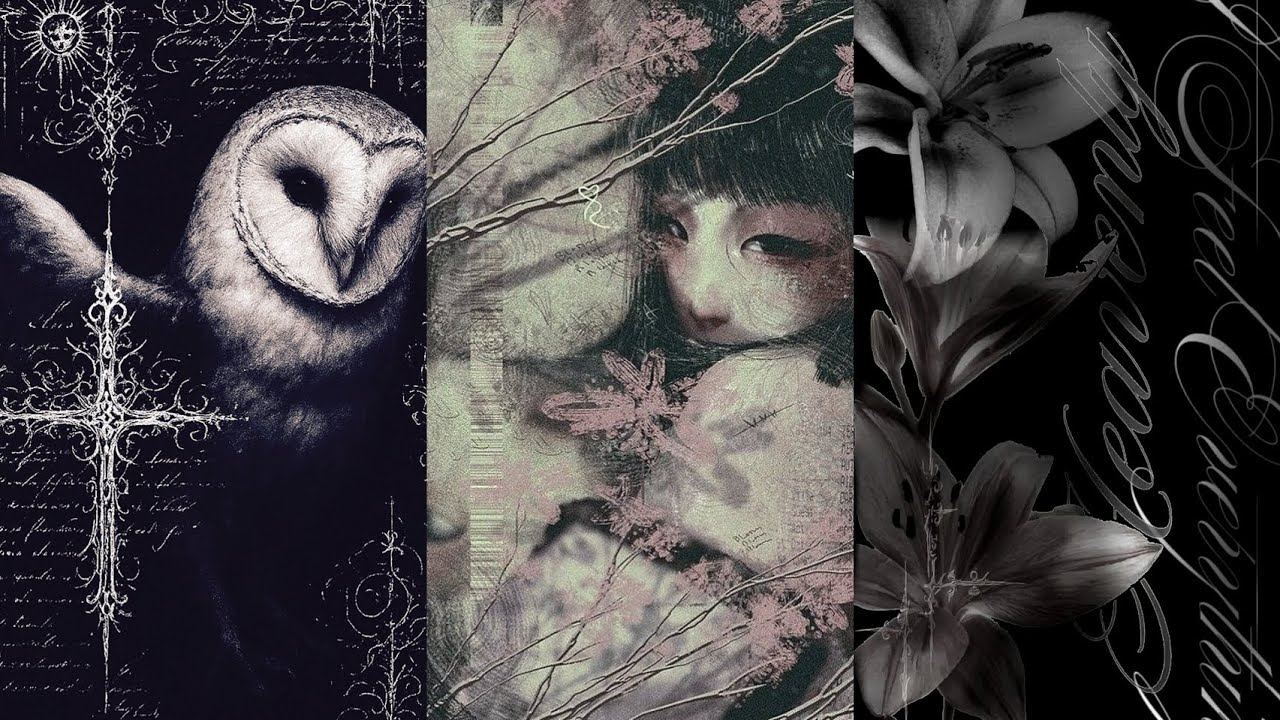 .⋆♱𝐏𝐞𝐚𝐤 𝐞𝐝𝐢𝐭 𝐚𝐮𝐝𝐢𝐨𝐬 𝐰𝐢𝐭𝐡 𝐚𝐮𝐫𝐚⁺ᵀⁱᵐᵉˡᵃᵖˢᵉᯓ★