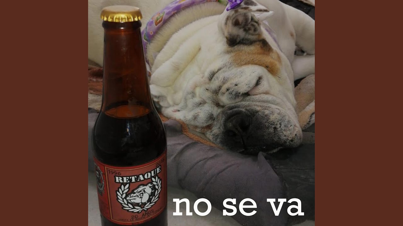 NO SE VA