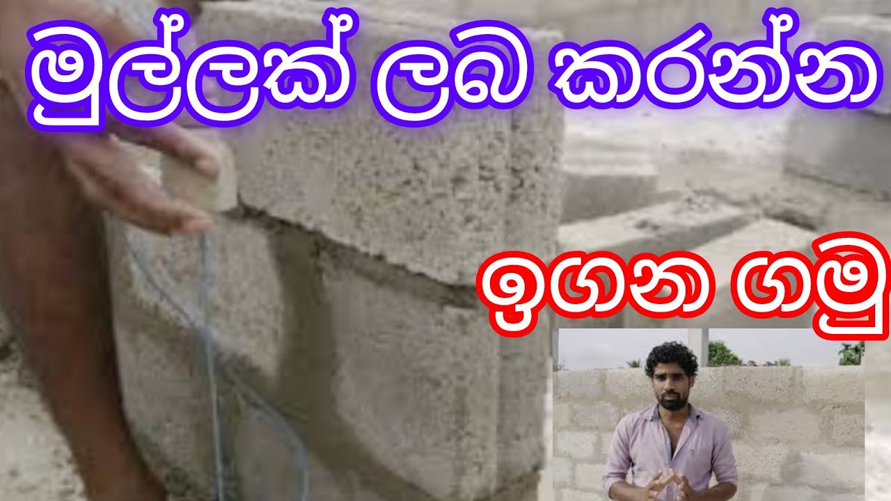 බිත්තියක මුල්ලක් බදින්න පුරුදු වෙමු @WADABIMA1989 #construction #masonry