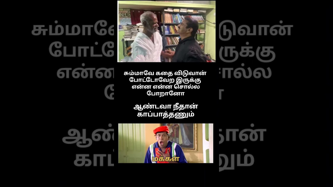 tvk #vijay #seeman #seemanspeech #seemancomedy #naamthamilar #naamthamilarkatchi #seemantroll