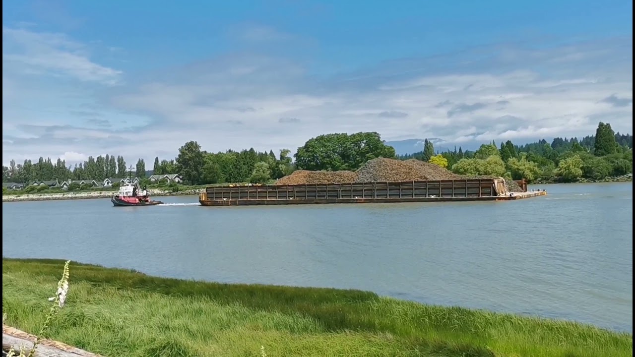 Walking to McDonald Beach Park - Richmond BC. 6/19/21