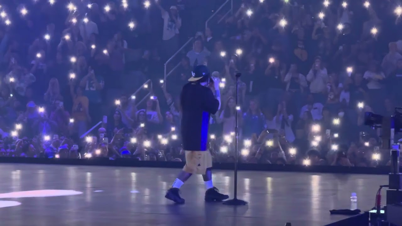 Billie Eilish - “WILDFLOWER” live San Jose 2024