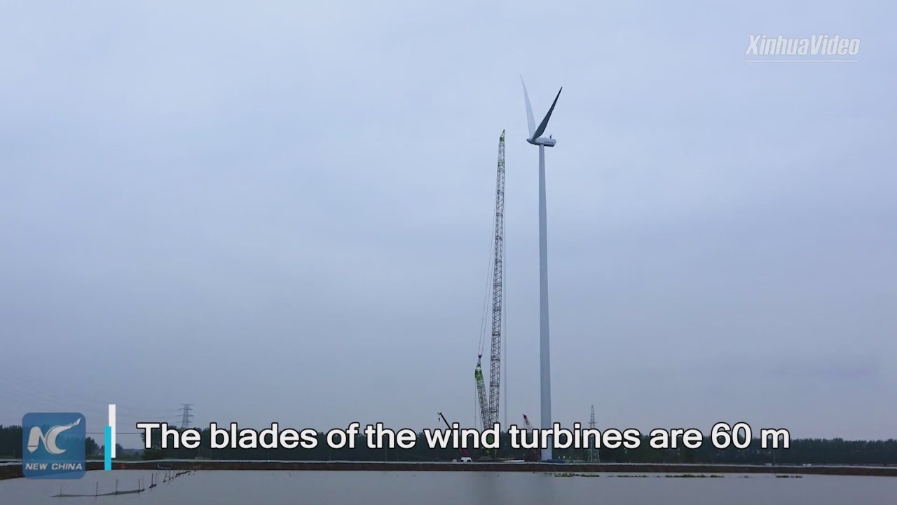 China's tallest wind turbine towers put into use