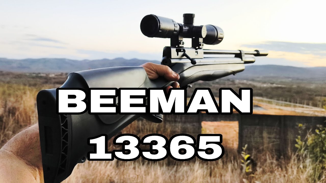 CONHECENDO A BEEMAN 13365 VR 🔥🎯