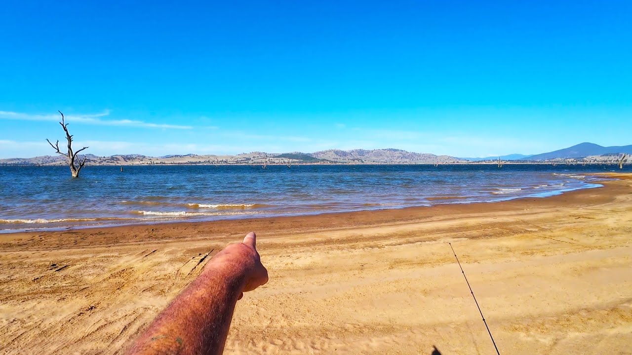 Redfin Fishing In Lake Hume. Are There Any Redfin Left In Lake Hume?