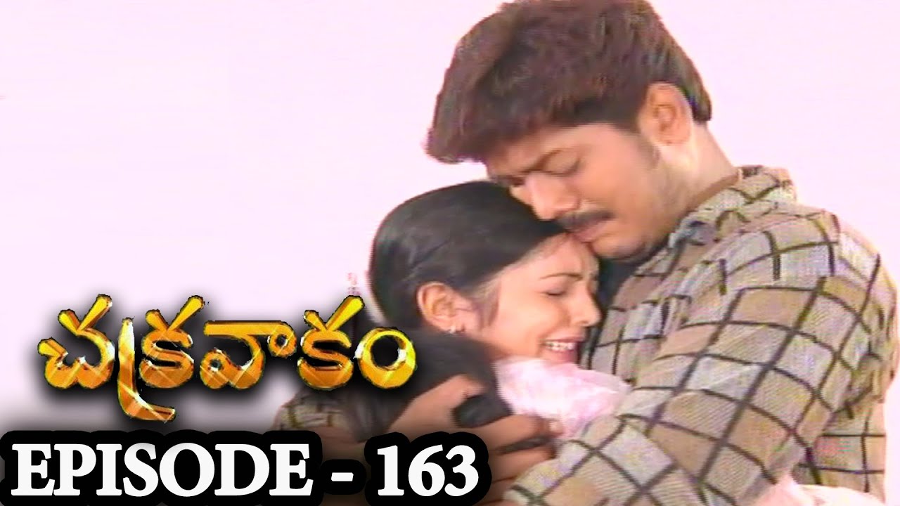Episode 163 | Chakravakam Telugu Daily Serial
