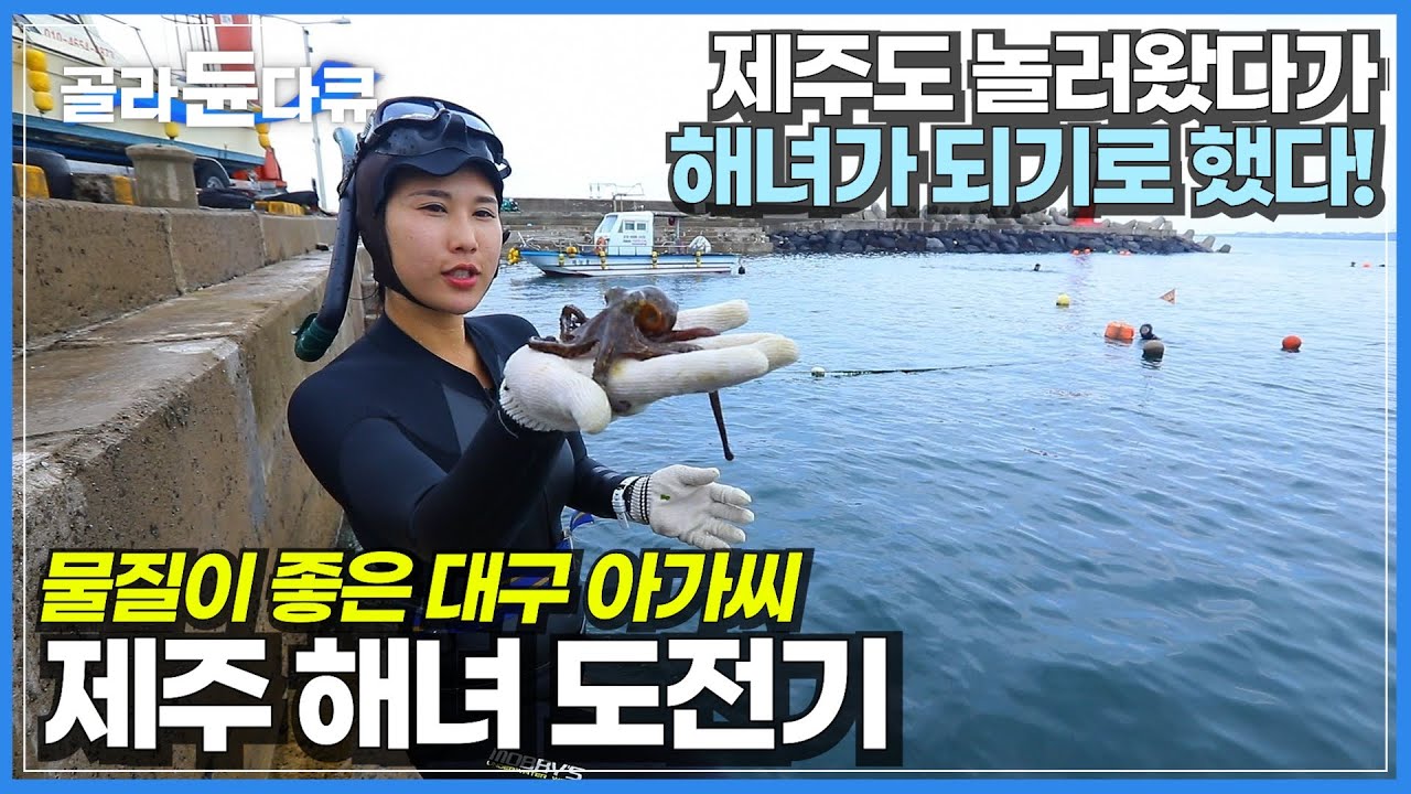 서른 셋에 결정한 제주 해녀의 길│물이 좋고 바다가 좋아 제주로 내려온 대구 아가씨│슬기로운 귀촌 생활│제주도 바다│한국기행│#골라듄다큐