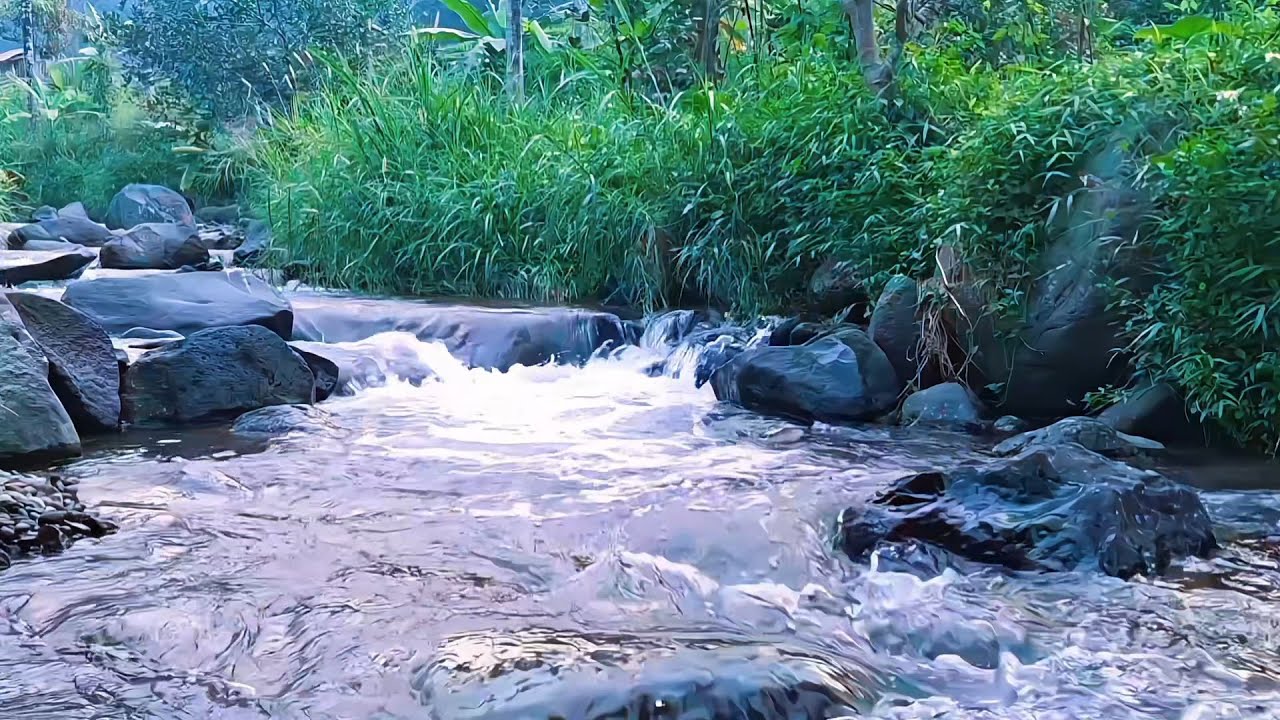 Natural River Ambience for Night Stillness