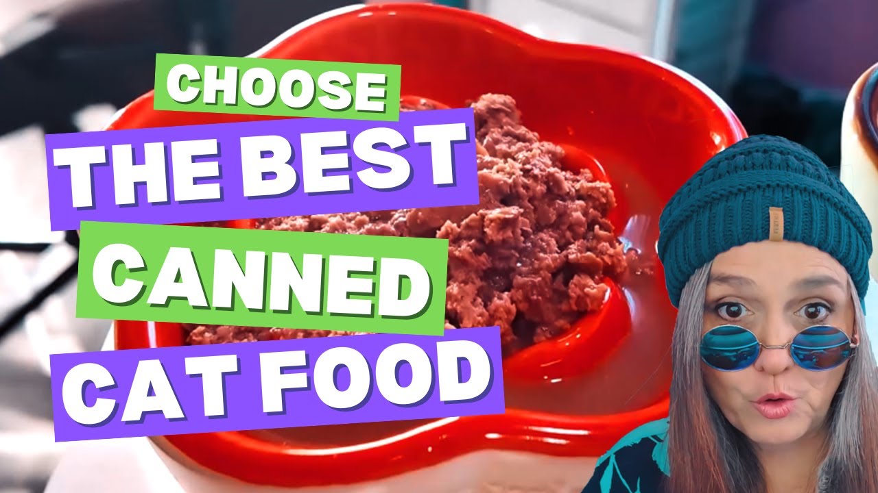 Best Wet Cat Food 2025 (Nutrition Guide)