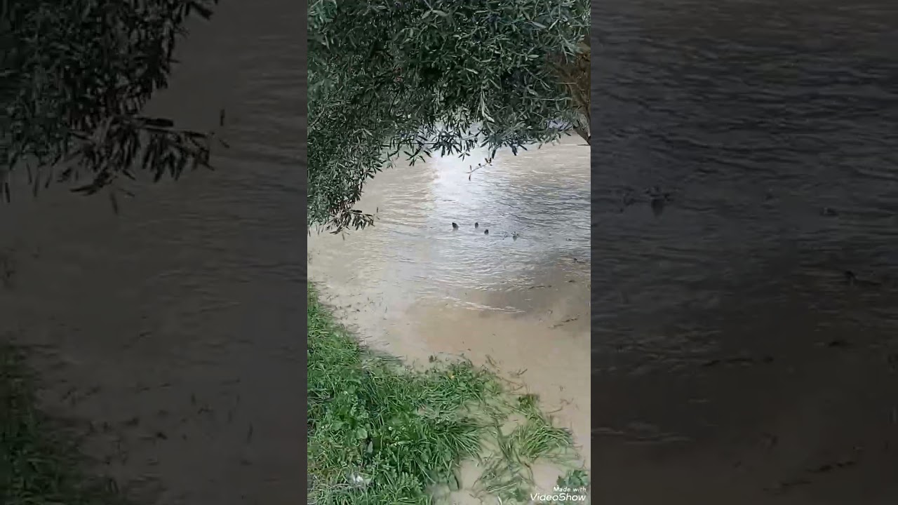 جمال الطبيعة في فصل الشتاء.باب مرزوقة.تازة.🥰🥰