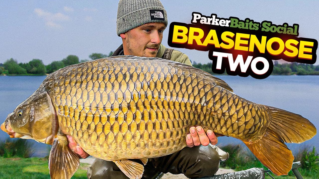 Parker Baits Social Carp Fishing At Linear Fisheries B2!
