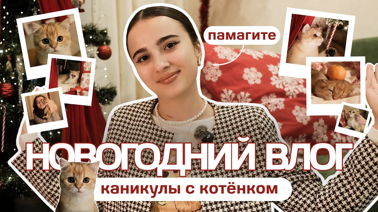 Как я нянчилась с котенком друзей на Новый год: полный влог ❄️