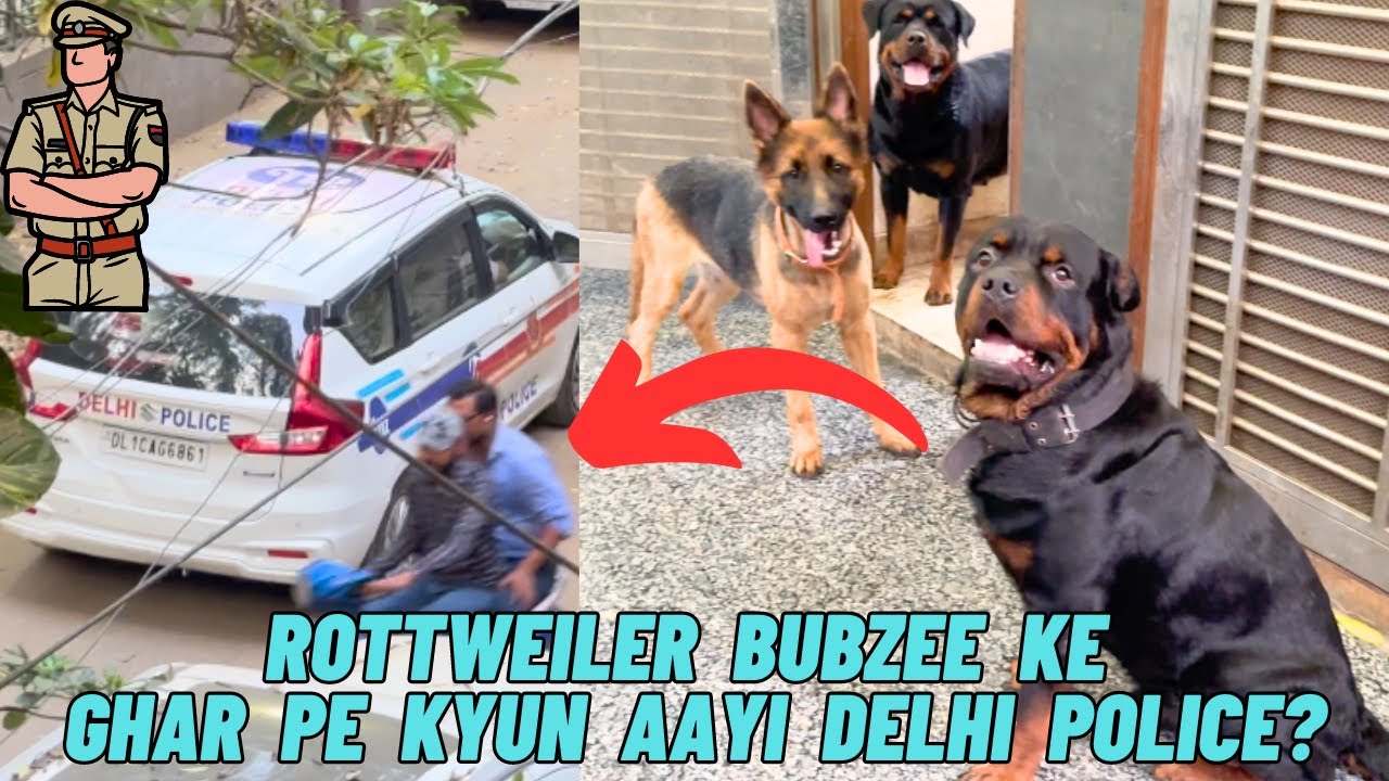 Rottweiler Bubzee Ko Milne Delhi Police Ghar Kyun Aayi: Bubzee Police Ko Dekh Ke Darra Ya Nahi ?