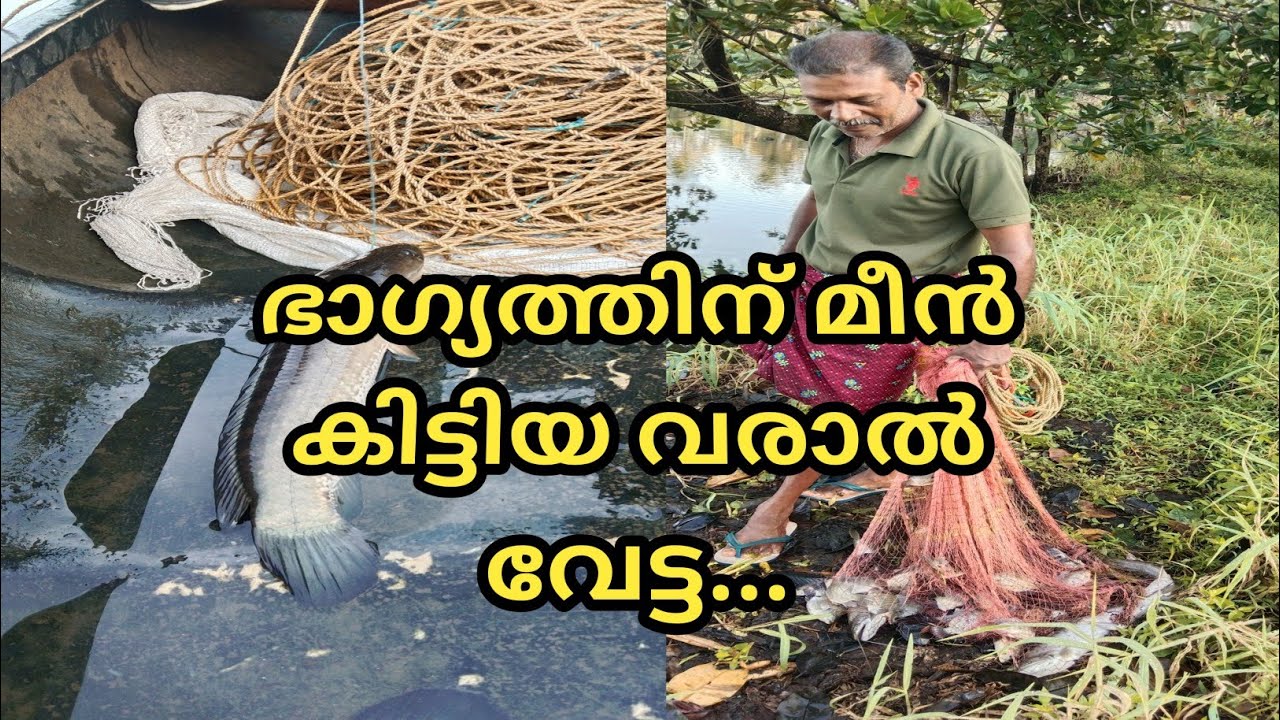 ഭാഗ്യത്തിന് മീൻ കിട്ടിയ വരാൽ വേട്ട .... @LD AND RD MEDIA