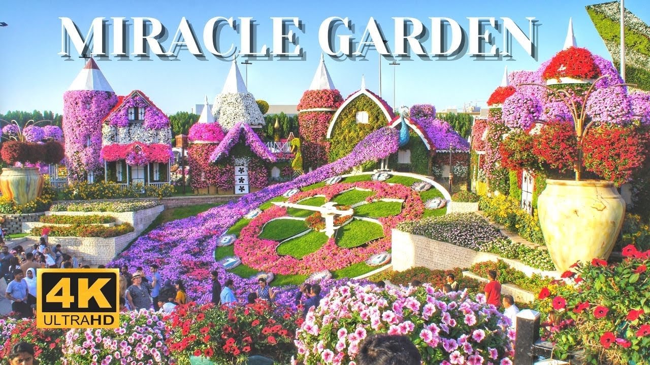 Dubai Miracle Garden 2022 | Walking Tour 4K