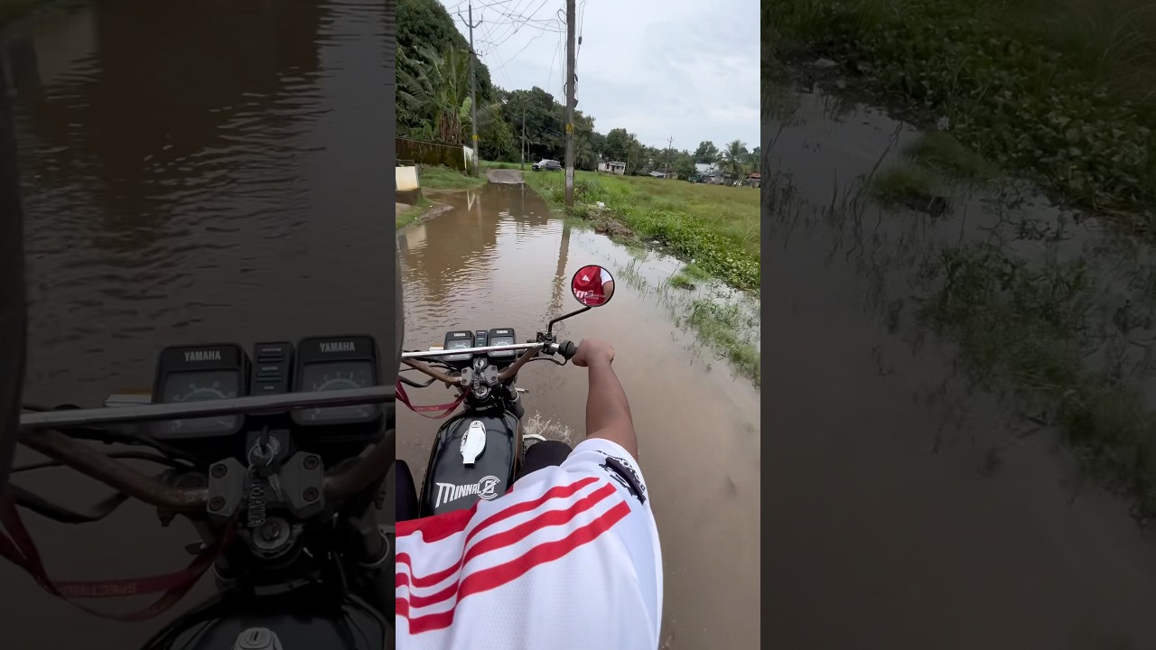 Pollution certificate for Rx |minivlog#58 #rx135 #twostroke #automobile #bikes #kerala #kottayam