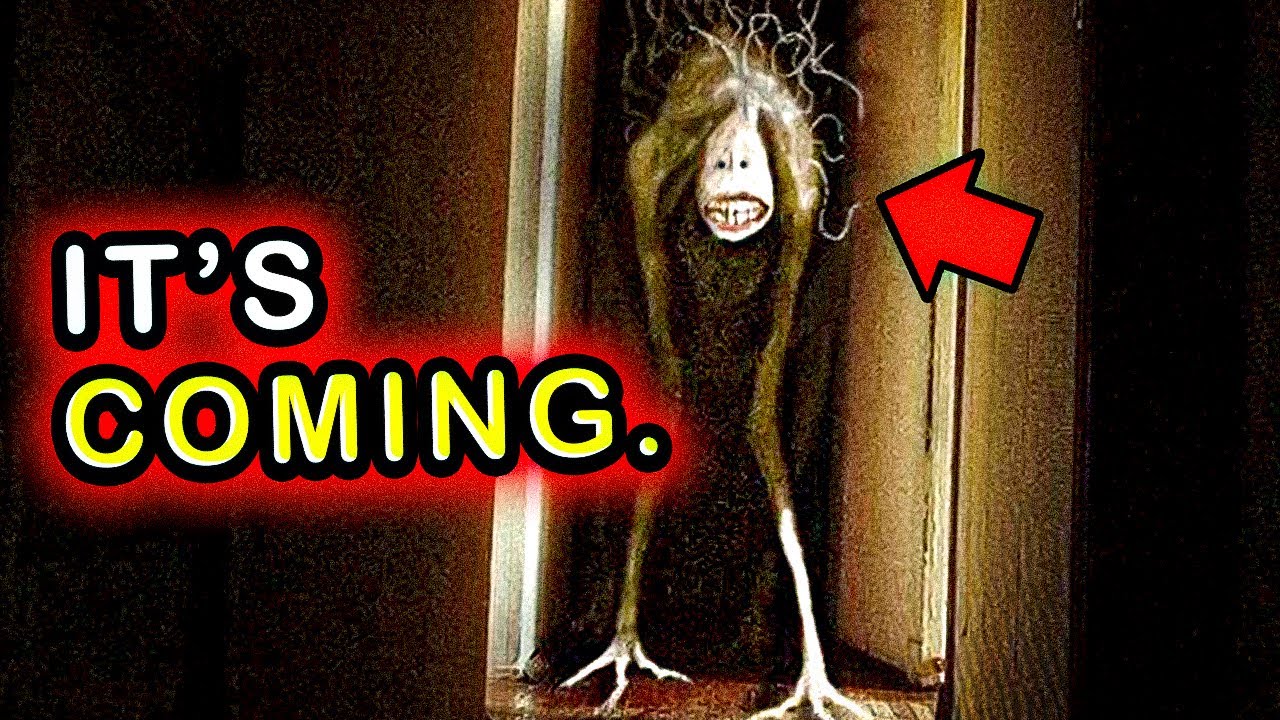 If Your Dog Starts LAUGHING... RUN FOR YOUR LIFE. | The 