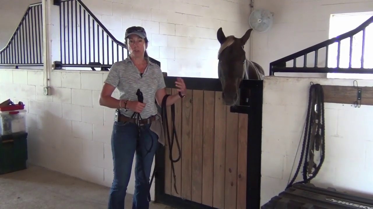 Fixing the Buddy Sour Horse, Mares & Geldings: Part IV