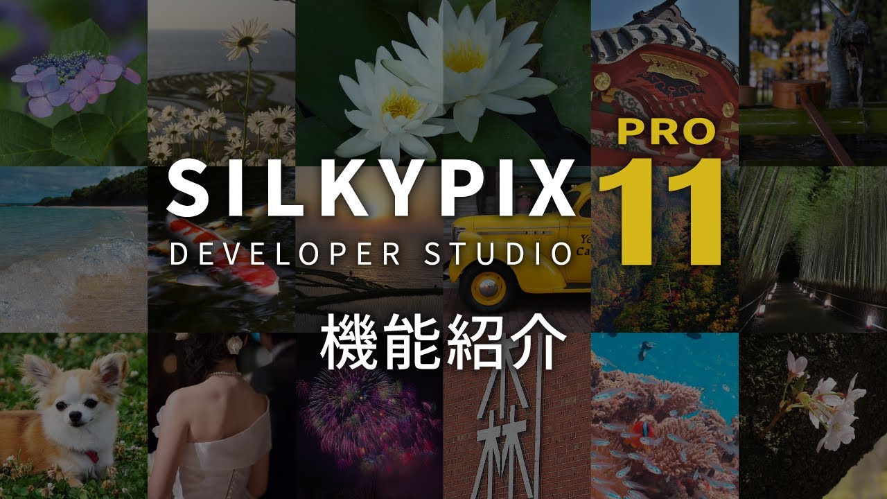 「SILKYPIX Developer Studio Pro11/11」機能紹介ムービー