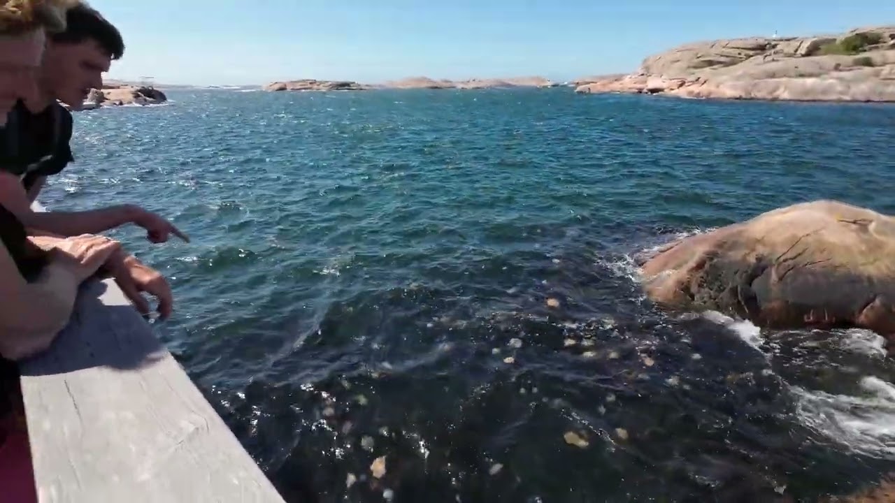 Dagar på västkusten juli 2023