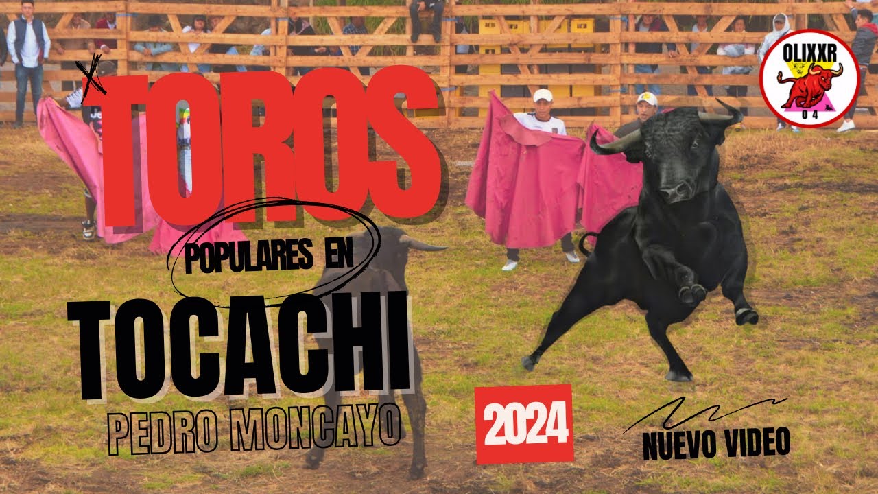 Toros en Tocachi