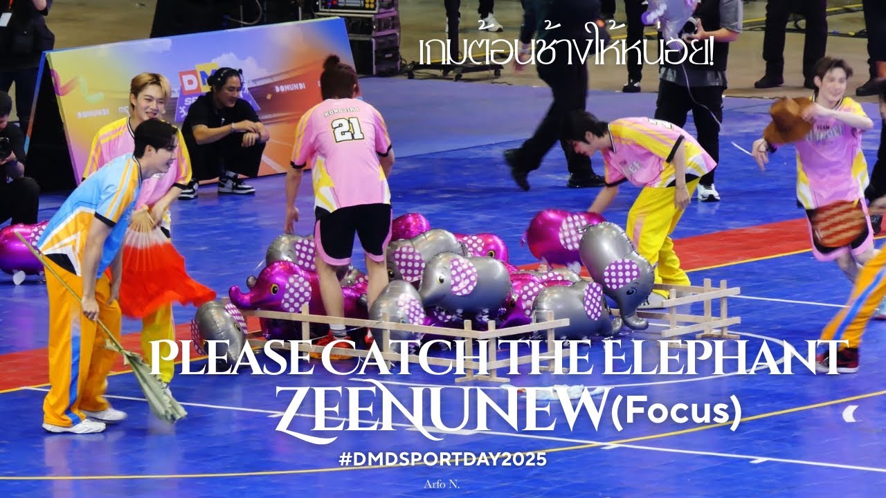 [Fancam] Please Catch the Elephant (ต้อนช้างให้หน่อย) - DMD BOYS | ZeeNunew Focus