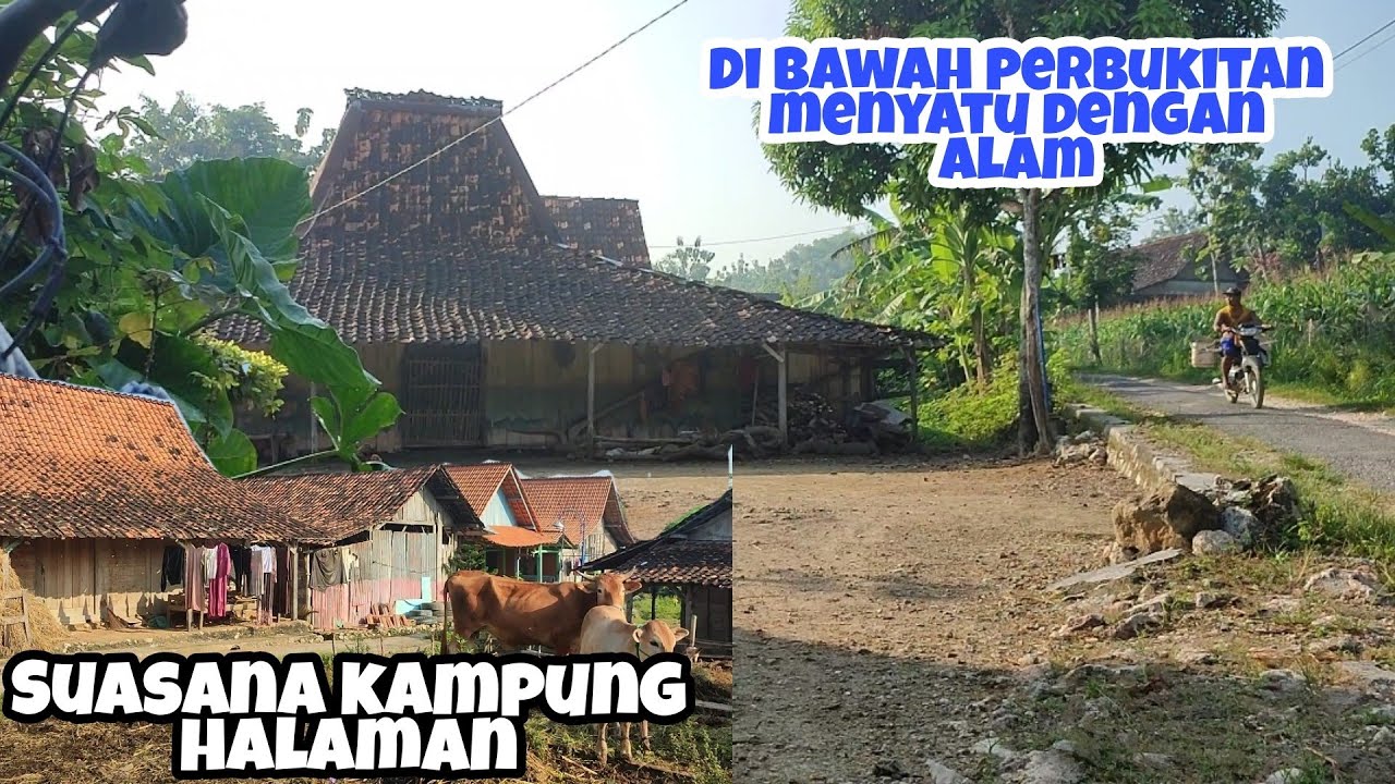 Ayem Tentrem Kehidupan Desa Di Blora Jawa Tengah Kali Ini Blusukan Desa Prantaan Kecamatan Bogorejo