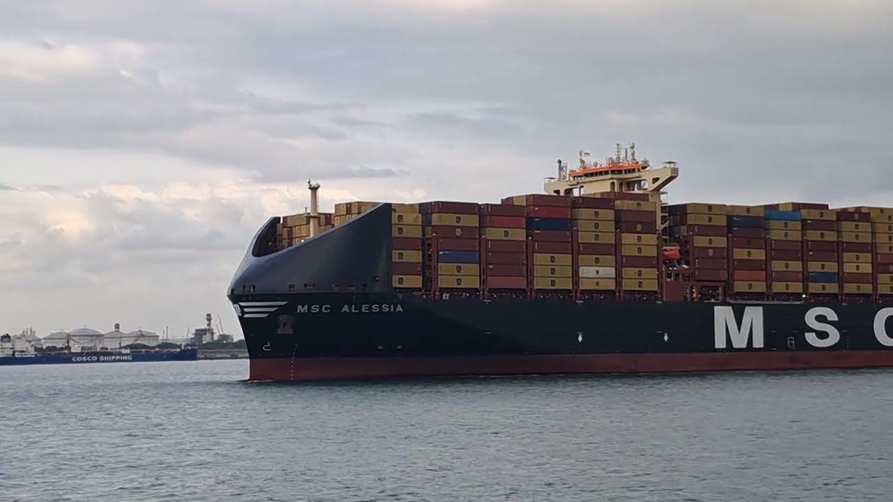 Beautiful Giant  ALESSIA entering port for berthing #marineservices #harbour #views #ship  #fypシ 