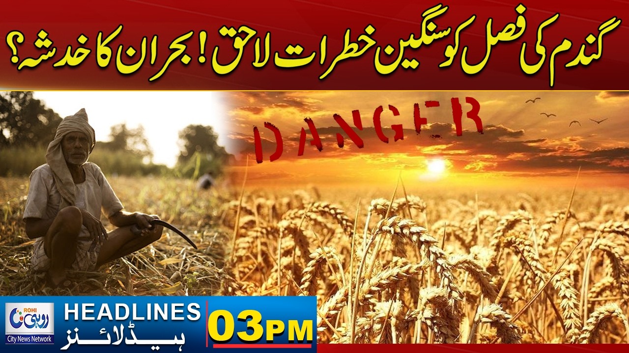 Fear Of Crisis? Wheat Crop Faces Serious Threats | 03pm News Headlines | 13 March 2026 | Rohi